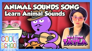 Animal Sounds Song  Learn Animal Sounds with Cool School on Tea Time with Tayla [upl. by Velma648]