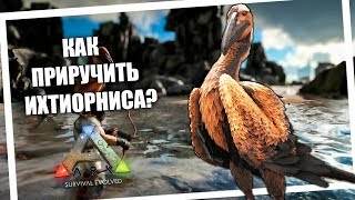 Как приручить Ихтиорниса  ARK Survival Evolved [upl. by Fairweather]