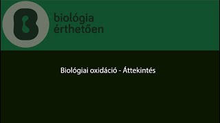 Biológiai oxidáció 1  Áttekintés [upl. by Htebezile]