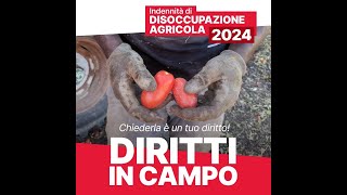 Disoccupazione agricola 2024 [upl. by Nilcaj]