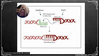 APBio Ch14 Pt1 Biotechnology amp Genomics [upl. by Luapnaes429]