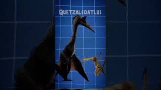 ¿Sabías que jurassicworlddominion quetzalcoatlus morosintrepidus ornithocheirus microraptor [upl. by Mayne949]