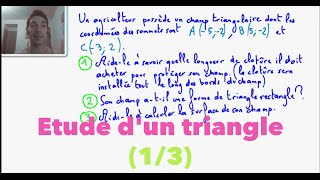 2nde Etude dun triangle 13 [upl. by Emrich307]