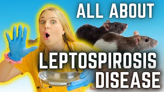 Leptospirosis in pets  Vet Easily Explains [upl. by Dutchman415]