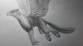 Drawing The Hippogriff from Harry Potter [upl. by Manolo]