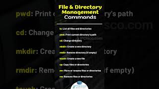 Must Know Linux File amp Directory Management Commands✨✨  Linux Admin  IPCiscocom linux [upl. by Eimac700]