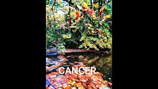 CANCER ♋It Gets Better From Here On Out NOV 24 30 2024 [upl. by Bianchi]