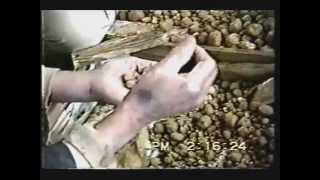 Masanobu Fukuoka Makes Seed Balls [upl. by Plante]