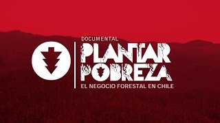 PLANTAR POBREZA EL NEGOCIO FORESTAL EN CHILE  DOCUMENTAL [upl. by Yenmor]