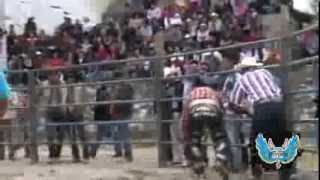 LOS TOROS DIVINOS EN SAN JUAN JARIPEO [upl. by Naihs]