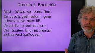 Biologie Havo BB Prokaryoten [upl. by Aiht]