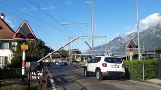 Spoorwegovergang Interlaken CH  Bahnübergang  Railroad Crossing [upl. by Berhley]