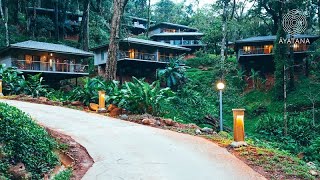 5 Star Tree House Stay in Coorg Ayatana Coorg Travel brat vlog [upl. by Gross]