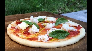 Stone Oven Pizza  Margherita  Vegi  Outdoor Food made in the forest [upl. by Yellah]