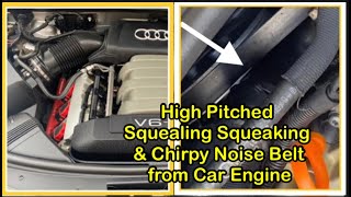 Squeaky Fan Belt High Pitched Squealing amp Chirpy Noise from Car Engine TroubleShooting amp Fixing [upl. by Mur271]