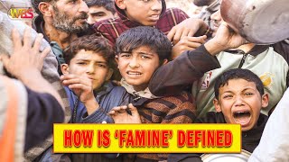 Famine in Gaza UN Experts Sound the Alarm Gazas Food Emergency What You Need to Know [upl. by Anaele593]