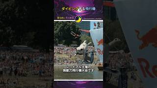 ダイビングする飛行機レッドブル・Flugtag [upl. by Marl]