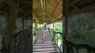 woodenbridge 🪵 nipahut bridge wood bohol farm pathway travel native walkway vacation [upl. by Uzia]