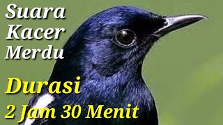 Suara Merdu Burung Kacer Mantap Untuk Isian Durasi 2 Jam 30 Menit [upl. by Leahcimnaes161]