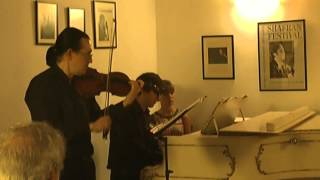 Brindisi from quotLa Traviataquot  Violin amp Piano [upl. by Wilmer]