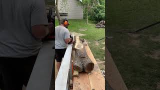 From Black Walnut log to Slabs on the Logosol F2 Plus chainsawmill logosol walnut [upl. by Alikahs]