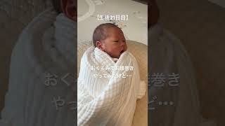 【生後21日】おくるみでお雛巻きやってみたけど・・・あかちゃん 新生児 あかちゃんのいる生活 baby babyboy newborn 癒し [upl. by Einaj]