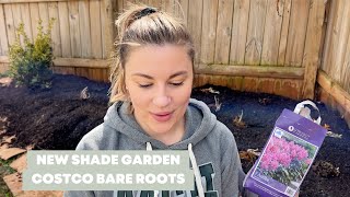 CREATING A SHADE GARDEN amp PLANTING COSTCO SHADE BARE ROOTS [upl. by Barger]