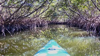 Hiking and Kayaking at Caladesi Island State Park [upl. by Ennovad]