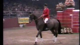 Gerd Wiltfang  Roman  226 m at Olympia 1980 [upl. by Rannug]