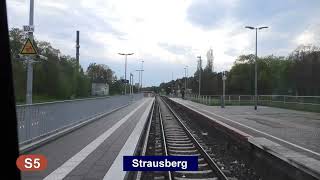 SBahn Berlin 2023 Linie S5  Führerstandsmitfahrt [upl. by Aydiv]