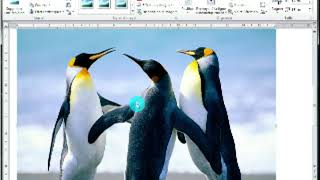 Formation Word  Insertion des graphes SmartArt des images et des formes [upl. by Nivled206]