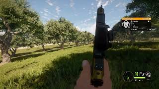 HUNTING RINGNECKED PHEASANT Andersson 22LR  theHunter Call of the Wild thehuntercallofthewild [upl. by Trik]