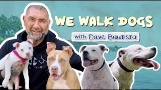 Dave Bautista and His 4 Rescue Pitbulls  WeWalkDogs [upl. by Washington17]