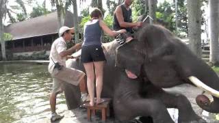 Elephant Safari Park Taro Bali [upl. by Itsur913]