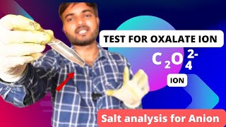 test for oxalate ion C2O42 salt analysis class 11 and 12 saltanalysis lab [upl. by Caldeira]