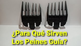 Para Que SIRVEN LOS Peines GUÍA TUTORIAL De BARBERIA [upl. by Onaivatco876]