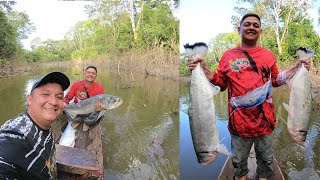 Pesca de bagre palometa y payara con anzuelo en San José del Guaviare Colombia [upl. by Fawna]