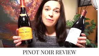 Best Pinot Noir Wines Under 25  Value Wines [upl. by Lynna]