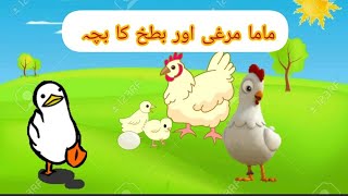 Mama murgi or batakh ka bacha Animated cartoons Urdu moral story petapopyoutube [upl. by Hennebery658]