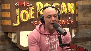 Joe Rogan Experience 2101  Bret Weinstein [upl. by Cheadle]