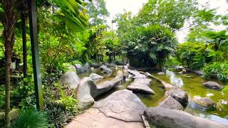 4K Kuala Lumpur Perdana botanical garden  Malaysia 2020 [upl. by Isabelle49]