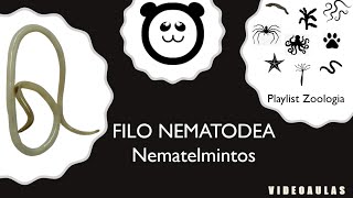 Filo Nematodea Nematelmintos [upl. by Byron]