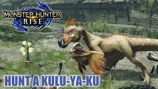 Monster Hunter Rise – Hunt a KuluYaKu  Tired and Feathered [upl. by Oralla]