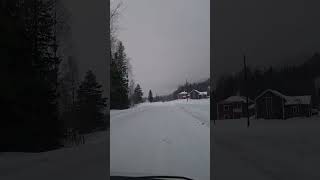 Sweden winter forest road asmrvideo sweden travel driving road asmr auto riding way [upl. by Ellehcsar329]