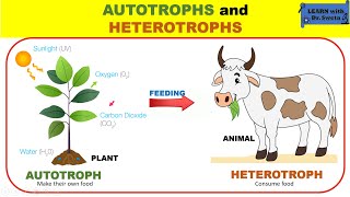 AUTOTROPHS and HETEROTROPHS [upl. by Leuneb45]