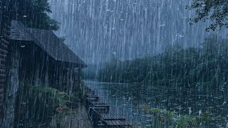 Duerma Instantáneamente y Reducir Estrés en Cuerpo con Sonido de Lluvia en Bosque Brumoso  Study [upl. by Neeruan]