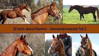 20 facts about Diamiro  KENNENLERNWOCHE [upl. by Bonilla189]