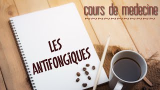 Les antifongiques antifongiques [upl. by Onailimixam]