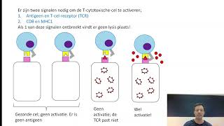 Afweer 6 Cellulaire immuniteit T cytotoxische cel [upl. by Inaluahek997]