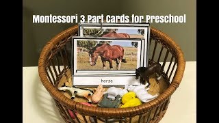 Montessori 3 Part Cards I Montessori 3 Period Lesson I How to use in Preschool [upl. by Grigson134]